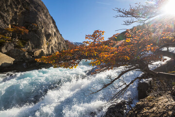 Obraz premium Autumn in mountains