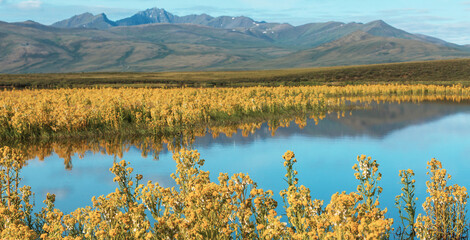 Obraz premium Lake in tundra