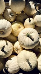 garlic on the market