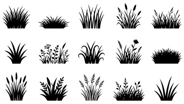 Set of black grass silhouettes and wild meadow plants for nature design and garden landscaping
