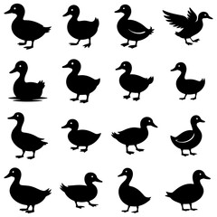 Obraz premium Duck Silhouette Clip Art