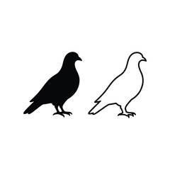 Fototapeta premium Pigeon Minimalist Solid Black Outline Silhouette Icon Collection