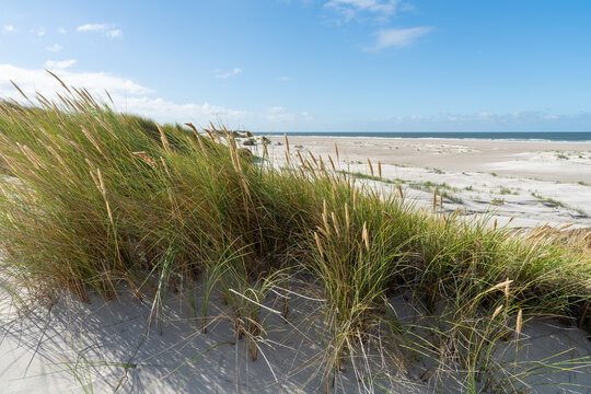 Breiter Nordseestrand mit wei&szlig;en D&uuml;nen und Strandhafer