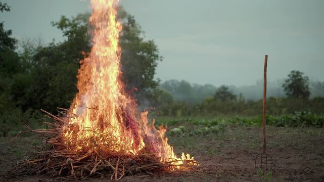 A large pile of dry branches burns in the middle of an open field, while a farm worker tends the fire with a long-handled pitchfork, sending smoke rising over the rural landscape