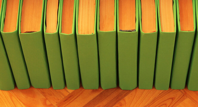 Books with multicolored covers are lined up on the parquet floor.