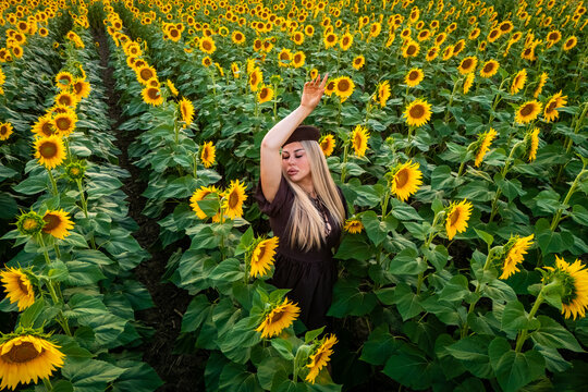 A beautiful young blonde woman posing elegantly in a vibrant field of blooming sunflowers. A dark brown mini dress featuring a charming tie-front neckline and modern structured brown pillbox hat.