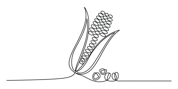 Continuous single line drawing of a fresh corn cob with leaves and kernels for food concept design in a simple minimalist and modern artistic style