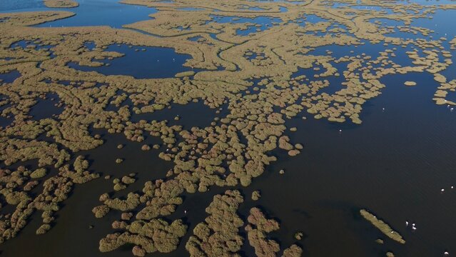 View of Gediz Delta with flamingos, major protected coastal wetland covering about 40,000 hectares at the confluence of the Gediz River and the Gulf of İzmir, T&uuml;rkiye 