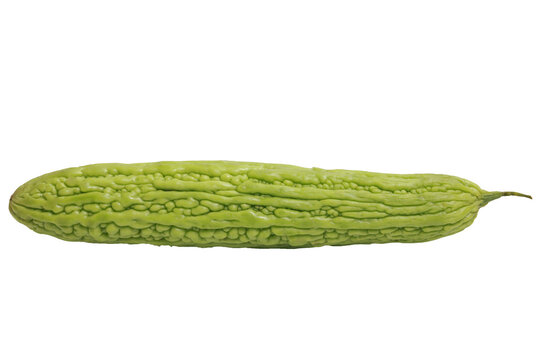 Fresh green bitter melon (Momordica charantia) isolated on white background.