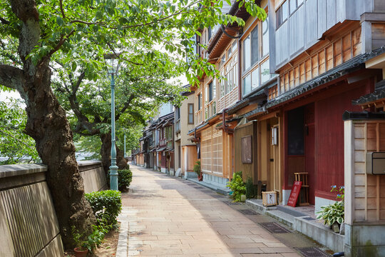 新緑の木々と紅弁柄色の木造建築が美しい金沢の風情ある街並み