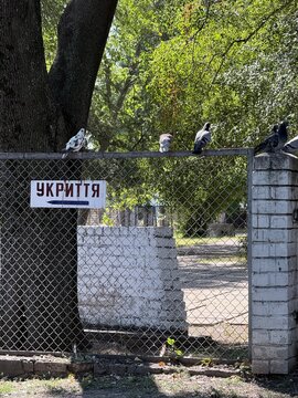 Air Raid Shelter Direction Sign with Pigeons in Urban Park in Ukraine