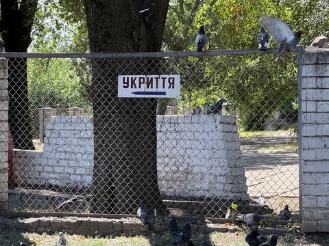 Air Raid Shelter Direction Sign with Pigeons in Urban Park in Ukraine