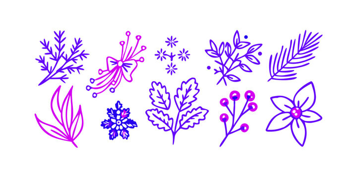 lavender flowers illustration
