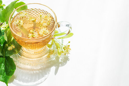 Fragrant herbal linden flower tea beverage in elegant glass cup and saucer with fresh green leaves