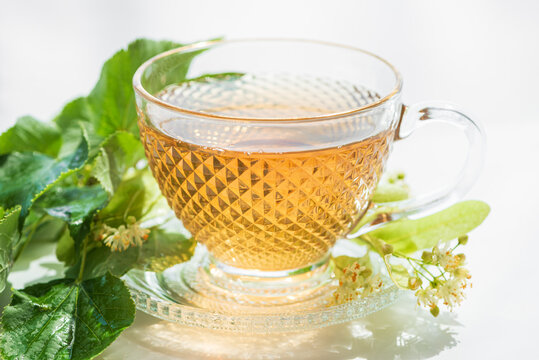 Herbal linden tea in clear glass cup with fresh flowers and leaves studio shot