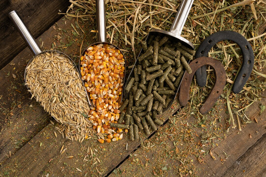 shovel spoons with horse food ingredients