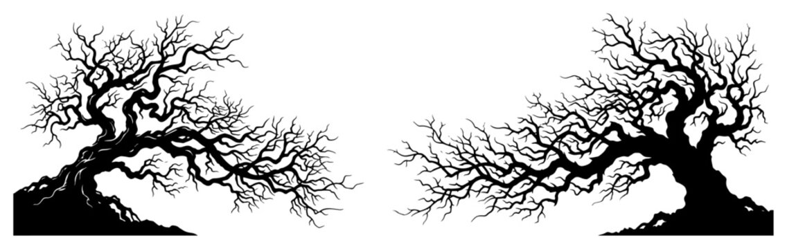 Gnarled dead trees with bare branches and leafless limbs silhouette style