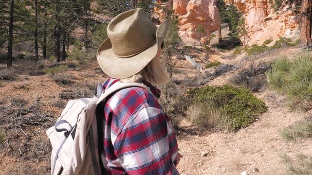 Rear view of woman wearing cowboy hat and backpack looking and standing surrounded by hoodoos and pine trees in bryce canyon national park utah, during sunny autumn day
