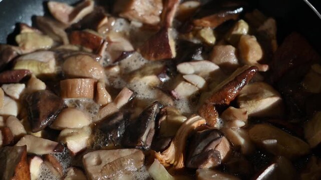 Mixed wild mushrooms frying in a pan without pre-boiling, including porcini, orange-capped boletes and slippery jacks. Homemade cooking, seasonal harvest and natural food.
