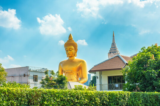Giant golden Buddha statue appears above tropical greenery, houses and Wat Paknam Phasi Charoen with temple rooftops in Bangkok city, Thailand. Big Seated Buddha. Travel and tourism in Asia