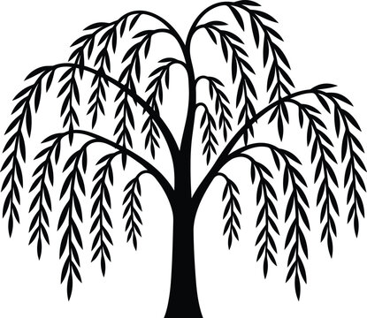 Weeping willow silhouette vector. Willow tree vector icon