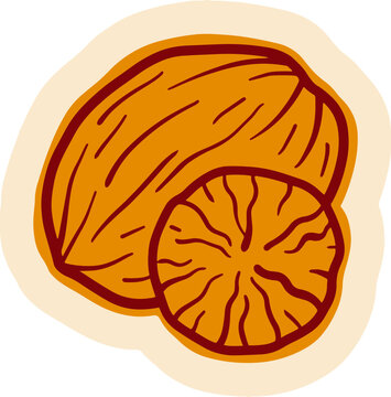 An illustration of a whole nutmeg and a sliced nutmeg on a light background