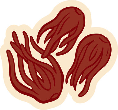 Three stylized dried flower buds on a light cream background, illustration