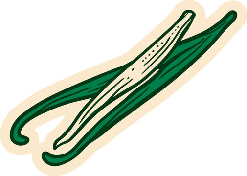 Two dark green vanilla beans with a light brown beige background