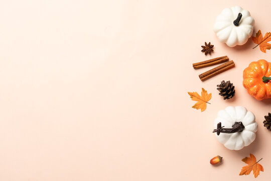 Autumn flat lay background. Pumpkins, spices and fallen leaves on color background.
