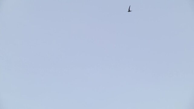 Clear blue sky view over Jerusalem - Pan right of Jerusalem wall