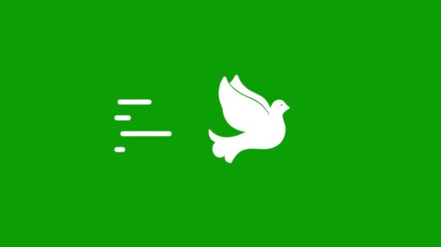 Animated white dove icon with motion speed lines on green screen.