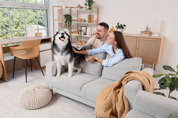 Pet ownership and companionship, happy couple relaxing on sofa with their husky dog at home in a bright modern living room interior © Pixel-Shot