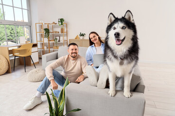 Work-life balance and remote work lifestyle, happy couple with a husky dog relaxing on a sofa in a modern home office with a laptop and house plants © Pixel-Shot