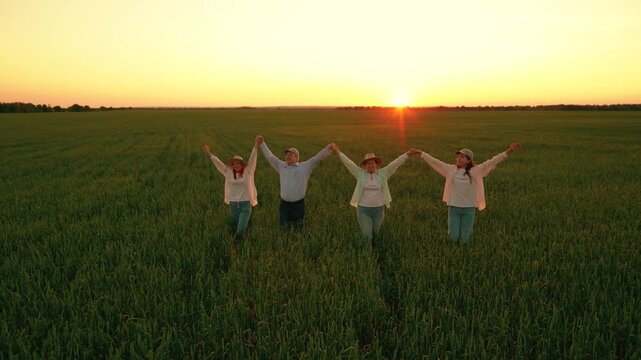 Farmers, business people raise hands, teamwork. Farmers, men and women work together in green field. People work in team, checking growth of wheat. Agricultural workers agronomist. Countryside sun sky
