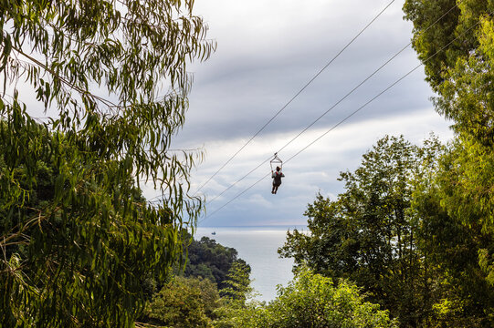 person ziplining over green forest and Black Sea