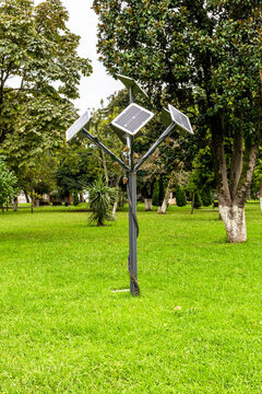 decorative outdoor solar tree in Batumi city