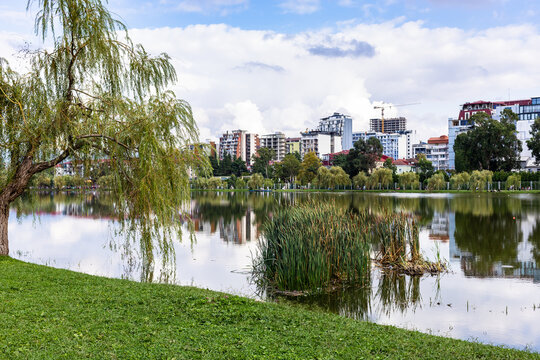 lake Nurigeli lakeside in Batumi Central Park