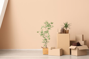 Fototapeta premium Moving house and relocation concept, cardboard boxes with household items and indoor plants in a new apartment with beige walls and wooden floor