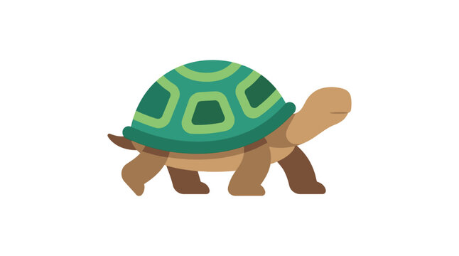 Green turtle with patterned shell on a white background, vector illustration