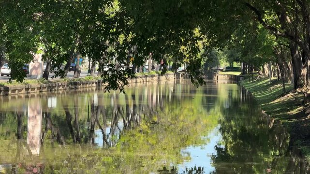 Tree-lined moat with reflections in Chiang Mai old city
