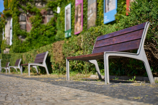 Wooden benches stand in a row beside dense greenery and paved walkway