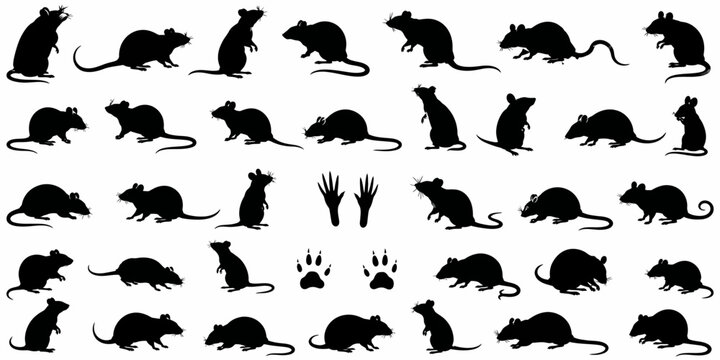 Black Rat Silhouette Vector Collection with Rodent Poses
