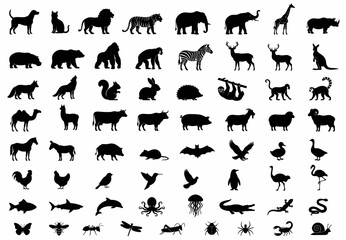 Fototapeta premium Diverse Animal Silhouette Collection with Mammals, Birds and Reptiles