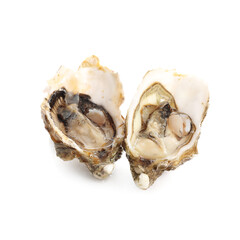 Gourmet seafood and luxury dining, fresh raw oysters on the half shell for culinary menu and restaurant marketing isolated on a white background © Pixel-Shot