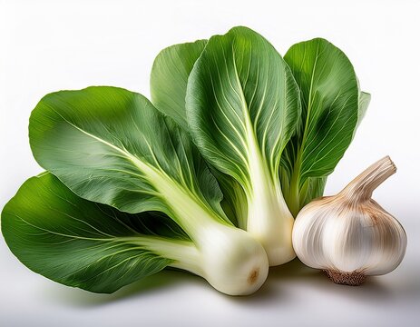 fresh green pak choi leaves and a whole garlic bulb isolated on white