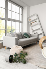 Home interior design and renovation, messy living room with overturned plant and modern furniture in a bright apartment with large windows © Pixel-Shot