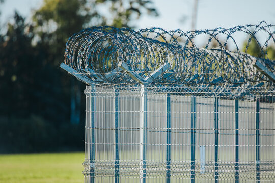Coils of barbed security wire above a tall metal mesh fence with blurred trees and grass in an outdoor perimeter barrier installation