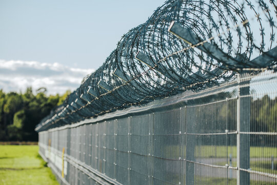 Long perimeter fence topped with dense coiled barbed wire under blue sky, creating a secure boundary beside green grass and trees in an outdoor security barrier