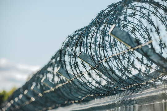 Coiled razor wire security barrier with sharp metal blades against a pale blue sky, photographed in close up along a fenced outdoor perimeter