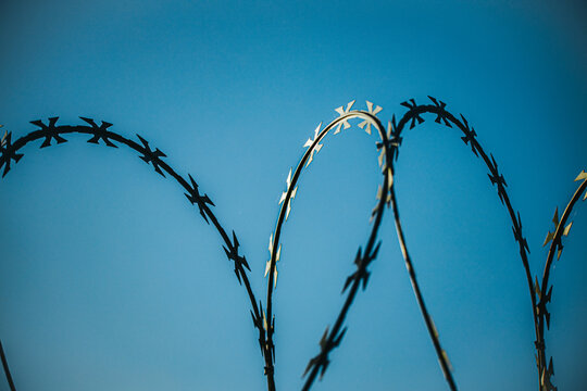 Curving strands of dark barbed wire silhouetted against a clear blue sky with overlapping loops and textured metal details, abstract outdoor barrier composition